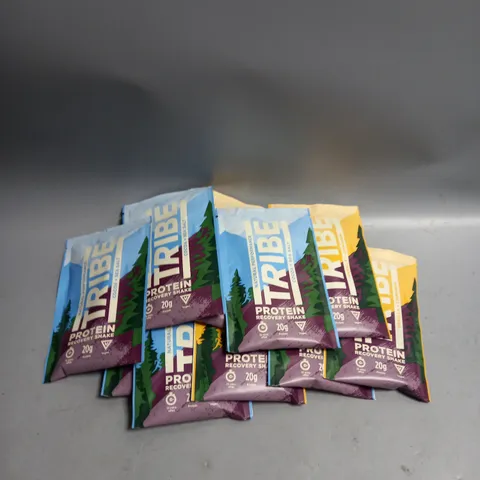 LOT OF 12 X 38G SACHETS OF TRIBE PROTEIN RECOVERY SHAKES. COCOA & SEA SALT AND VANILLA & CINNAMON FLAVOUR