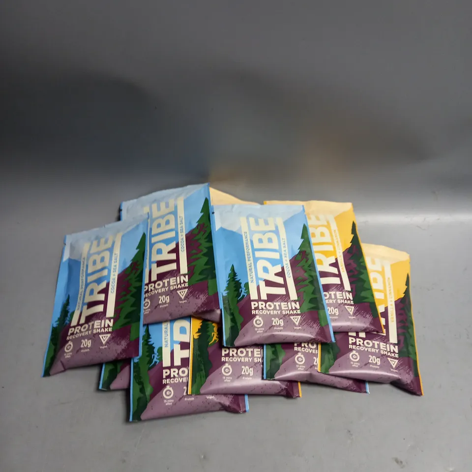LOT OF 12 X 38G SACHETS OF TRIBE PROTEIN RECOVERY SHAKES. COCOA & SEA SALT AND VANILLA & CINNAMON FLAVOUR