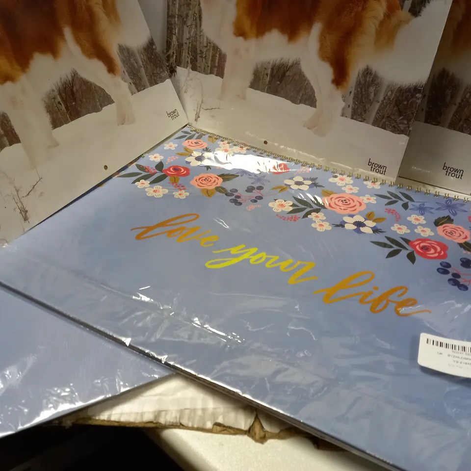 LOT OF APPROX 11 ASSORTED 2022 CALENDARS/NOTEBOOK 