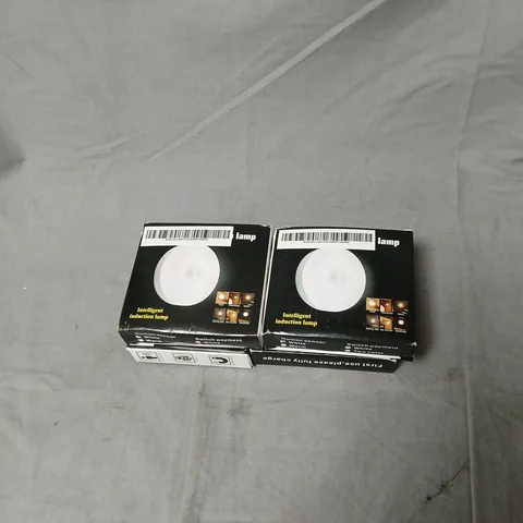 INTELLIGENT INDUCTION LAMP TWIN PACK – 4 BOXED LAMPS