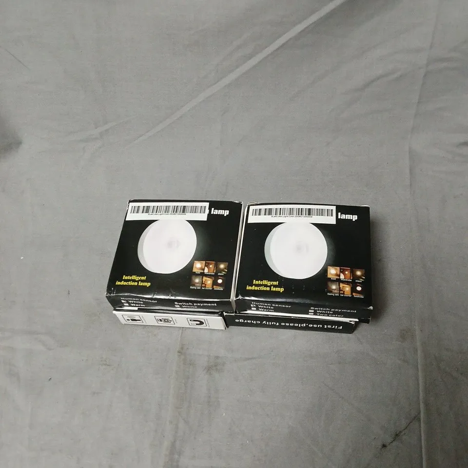 INTELLIGENT INDUCTION LAMP TWIN PACK – 4 BOXED LAMPS