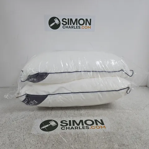 SET OF 2 EGYPTIAN COTTON PILLOWS