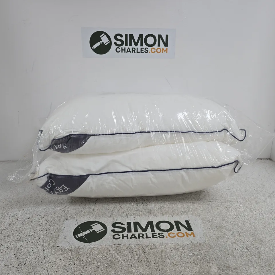 SET OF 2 EGYPTIAN COTTON PILLOWS