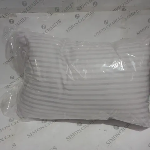 2 ASSORTED PILLOWS