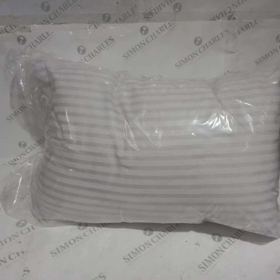 2 ASSORTED PILLOWS