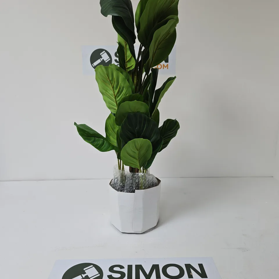 70CM REAL TOUCH ARROWROOT MARANTA PLANT