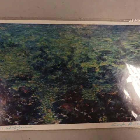 DANIEL WESSON SIGNED COSTA RICA ART PRINT