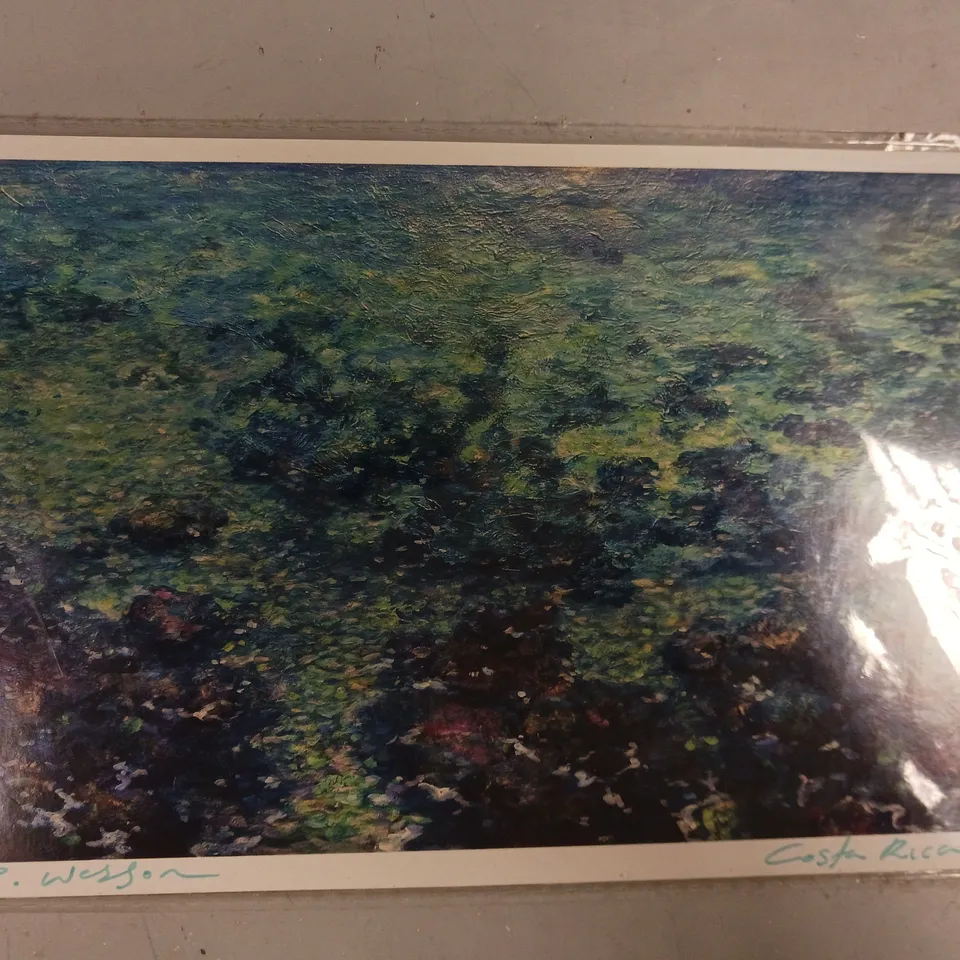 DANIEL WESSON SIGNED COSTA RICA ART PRINT