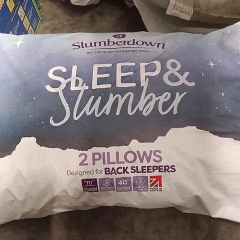 SLUMBERDOWN 2 PILLOW SET