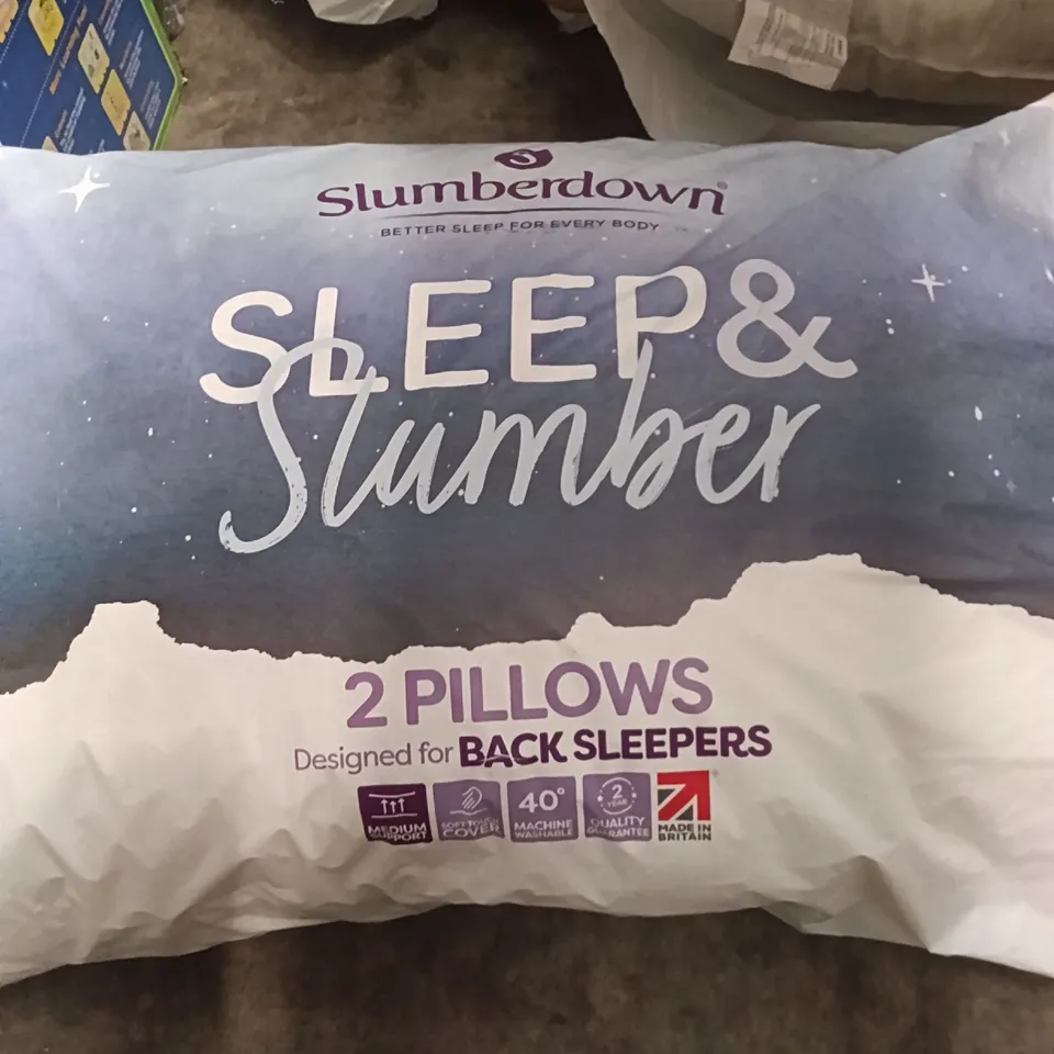 SLUMBERDOWN 2 PILLOW SET