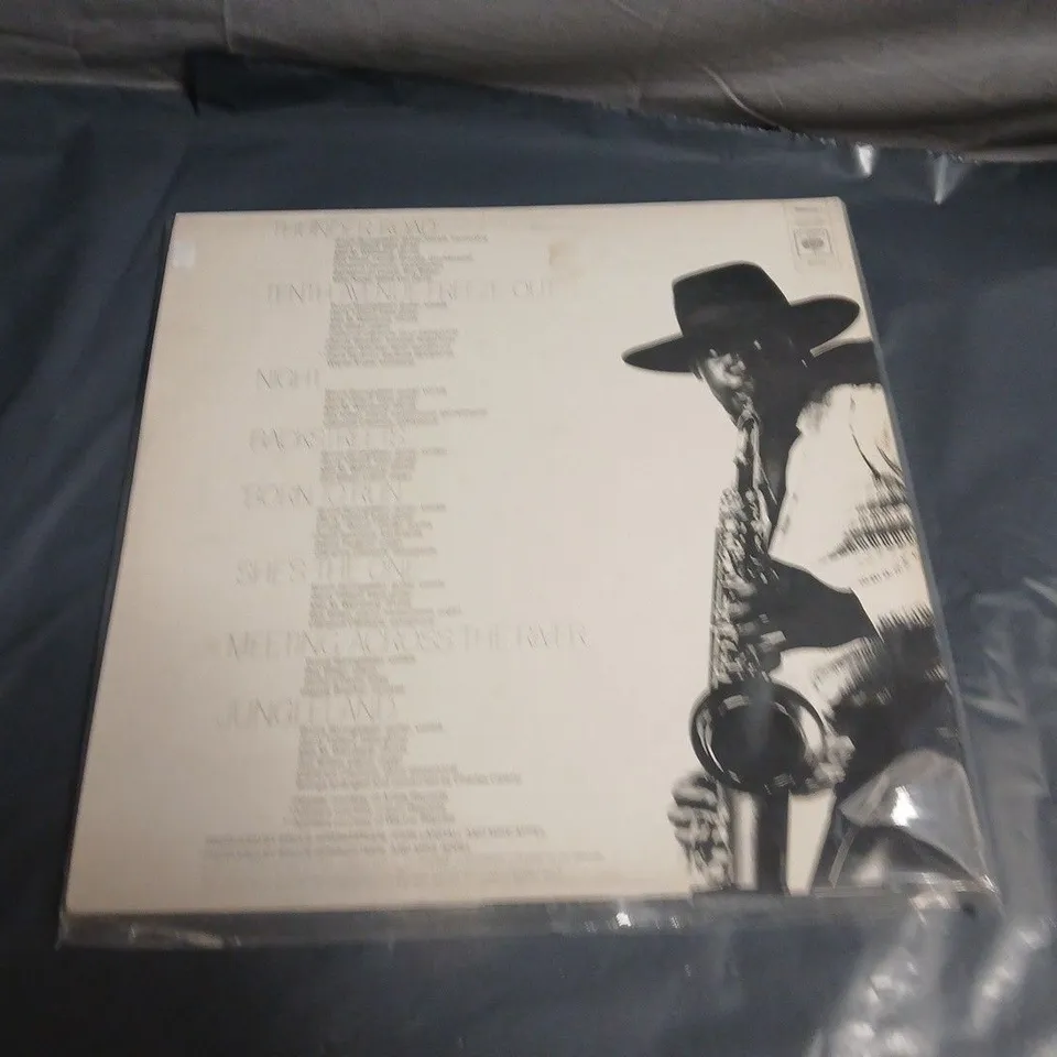 BRUCE SPRINGSTEEN - BORN TO RUN – VINYL LP