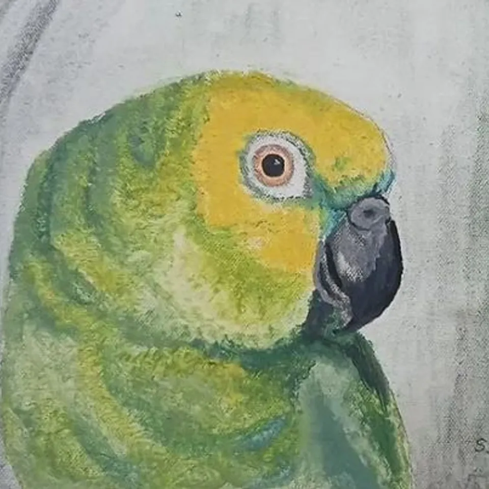 PARROT PAINTING ON CANVAS BY S. HULSE, 2014