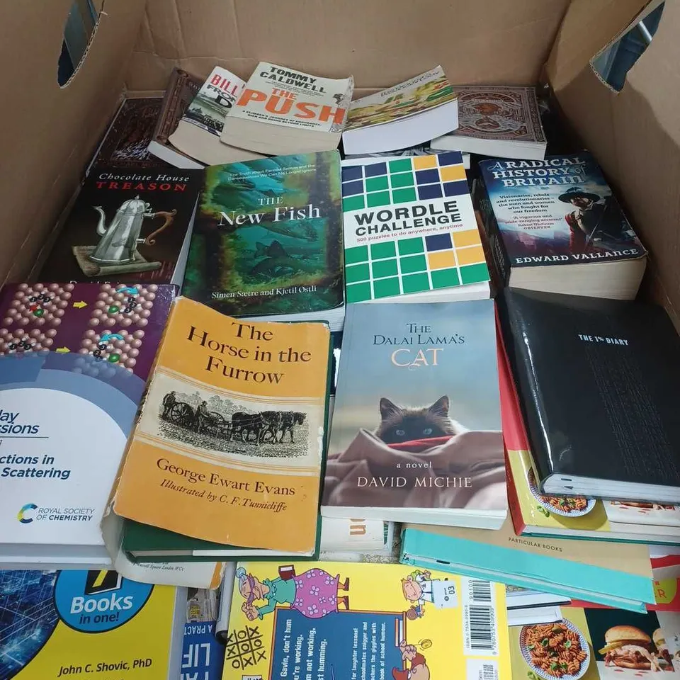 LARGE QUANTITY OF ASSORTED BOOK TO INCLUDE FICTION & NON FICTION - COLLECTION ONLY