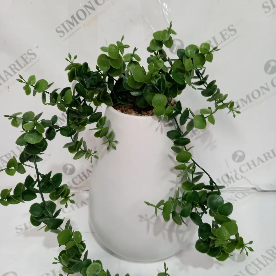 BUNDLEBERRY BY AMANDA HOLDEN HANGING MACRAME CERAMIC POT WITH FAUX PLANT, WHITE