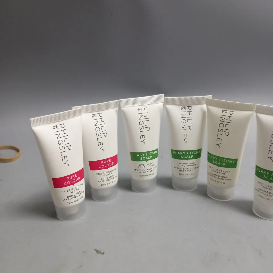  LOT OF 6 PHILIP KINGSLEY SHAMPOO MINATURES COLOUR CARE AND ITCHY SCALP