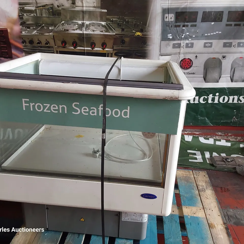 CARRIER DISPLAY/ SELF SERVE FREEZER Model COI17