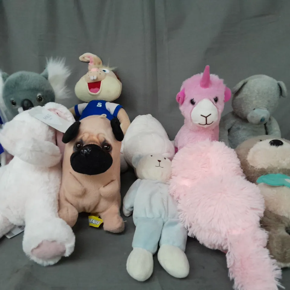 BOX OF ASSORTED PLUSH SOFT TEDDIES 