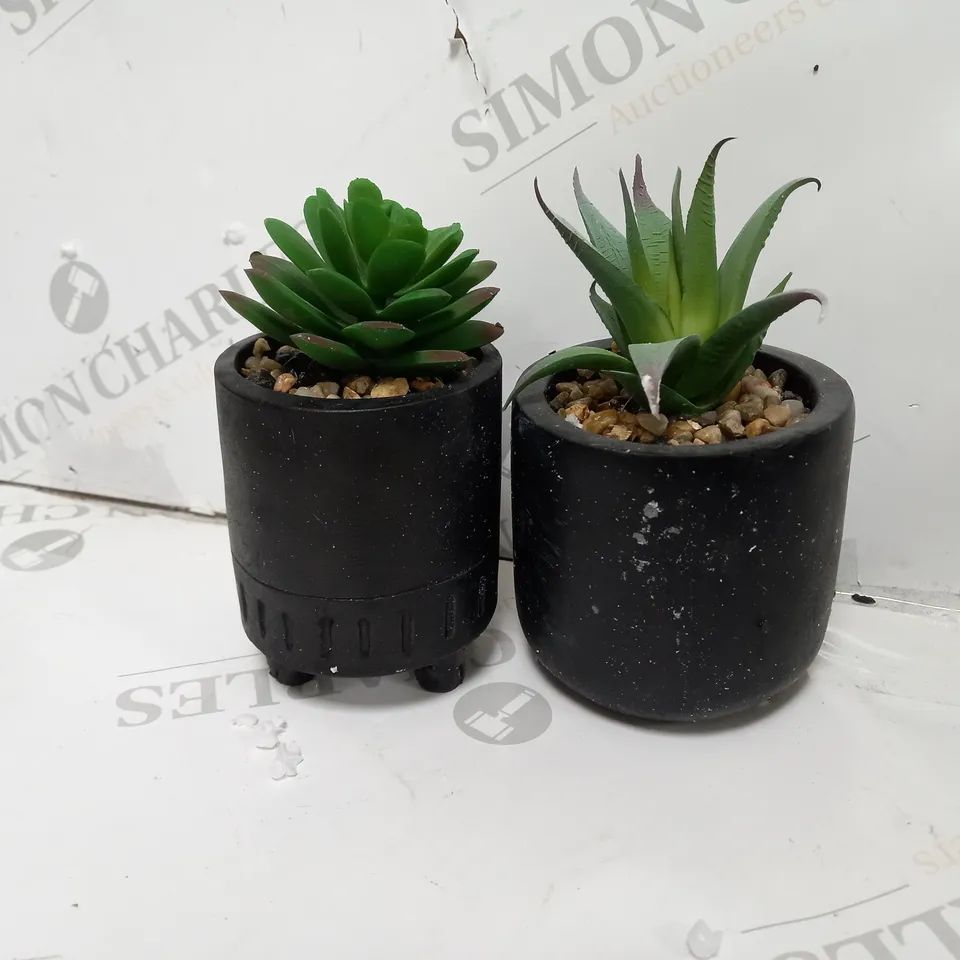 6 TINY PLANTERS WITH PLANT 2PK - MATTE BLACK