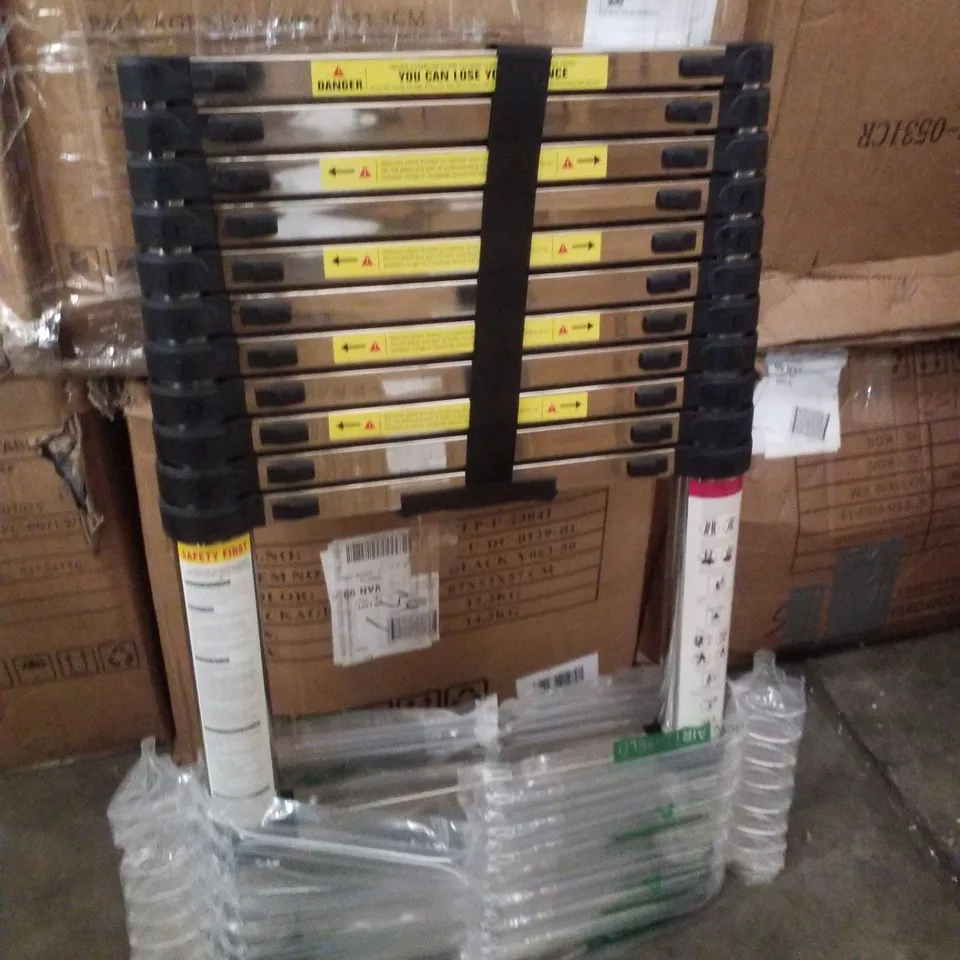 BOXED 12-RUNG TELESCOPIC LADDER 