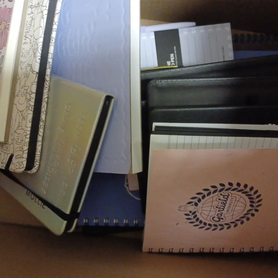 APPROXIMATELY 25 ASSORTED TYPO DIARIES, JOURNALS, NOTEBOOKS TO INCLUDE GARFIELD UNIVERSITY A5 CAMPUS NOTEBOOK, A6 BUFFALO JOURNAL, A4 EVERYDAY NOTEBOOK 
