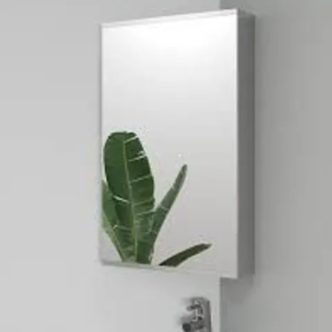 BOXED CROYDEX SIMPLICITY WALL HUNG WHITE MIRRORED CORNER CABINET 300 x 500mm - REVERSIBLE DOOR (1 BOX)