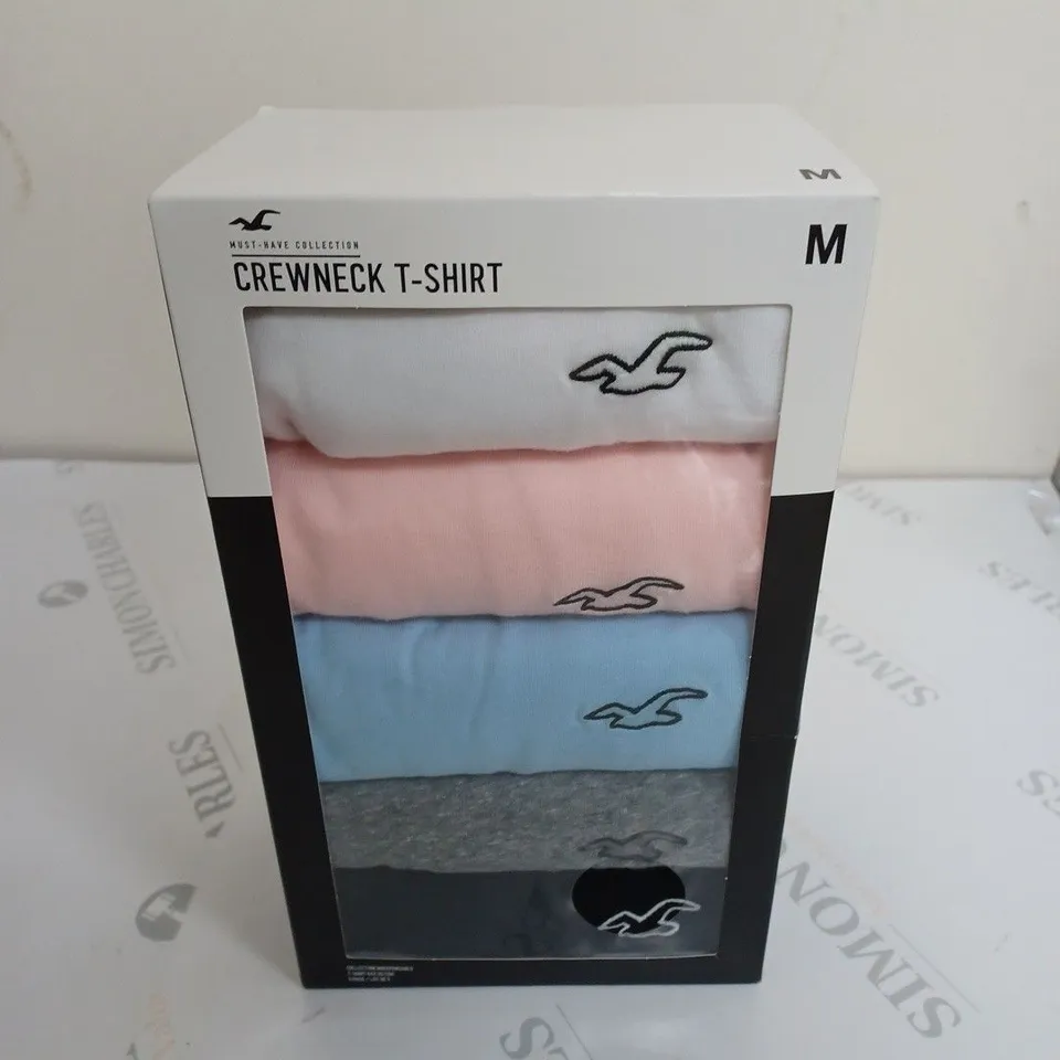 HOLLISTER CREWNECK T-SHIRT BOX OF 5 - MEDIUM