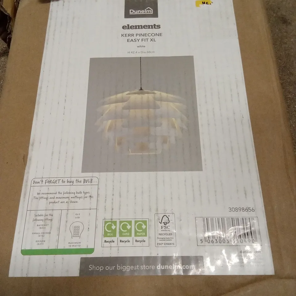 BOXED ELEMENTS KERR PINECONE LIGHT