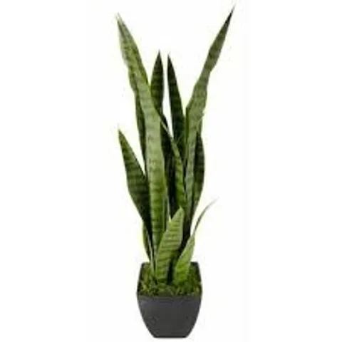 BOXED SANSEVIERIA IN A POT, SNAKE PLANT LAURETII ZEYLANICA EASY-CARE ARTIFICIAL 