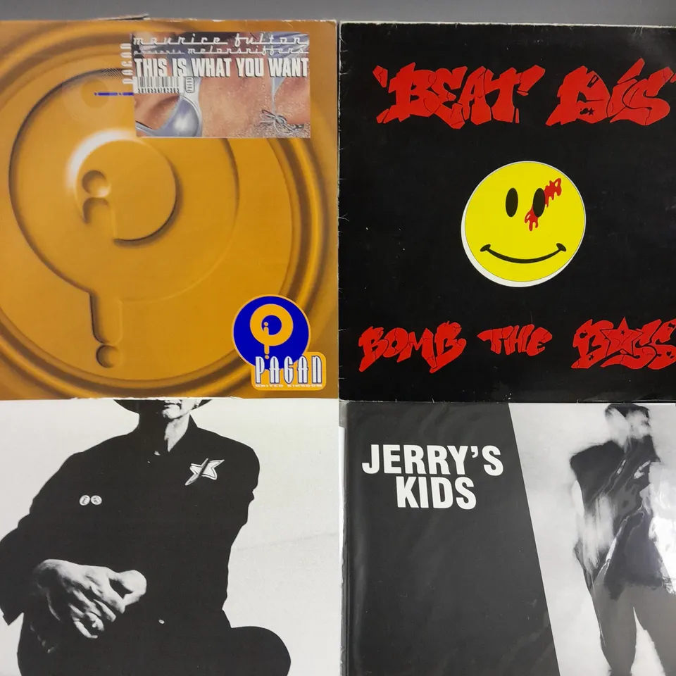 APPROXIMATELY 15 ASSORTED VINYLS FROM VARIOUS ARTISTS TO INCLUDE ROD STEWART, JERRY'S WORLD, THE EVERLYS ETC 