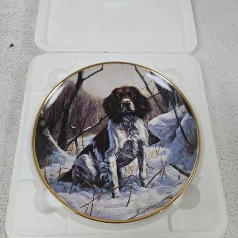 A WINTER COMPANION – THE SPRINGER SPANIEL DECORATIVE PORCELAIN PLATE BY JOHN TRICKETT