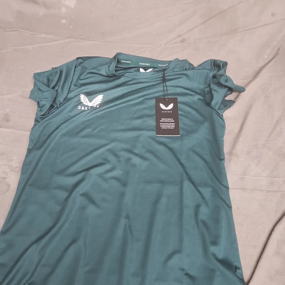 CASTORE PERFORMANCE TEE IN BOTANICAL GREEN - 10