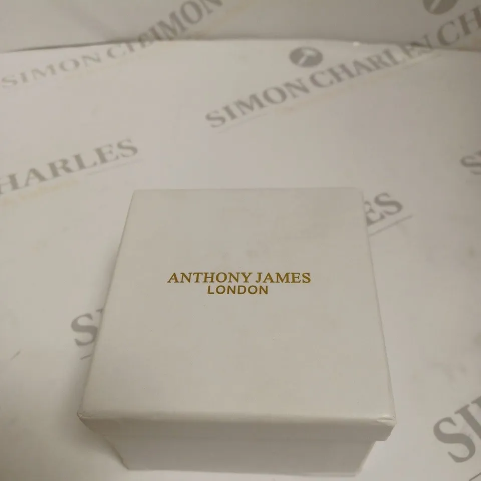 BOXED ANTHONY JAMES GENTS LIMITED EDITION SKELETON AUTOMATIC  STAINLESS STEEL WATCH - SILVER