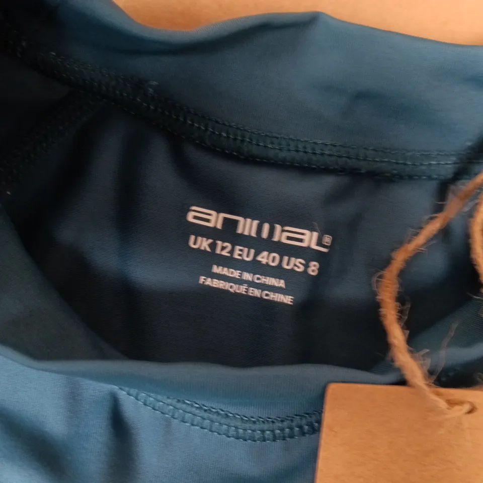 ANIMAL WOMENS DASIY SS RASH VEST IN TEAL - UK 12