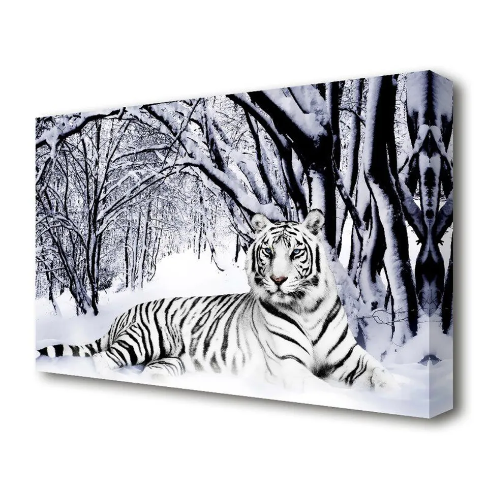 BOXED WHITE TIGER IN THE SNOW WILD LIFE GRAPHIC ART