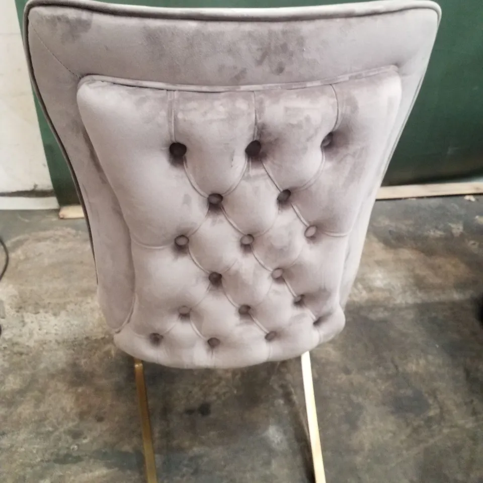 MINK VELVET DINING CHAIR