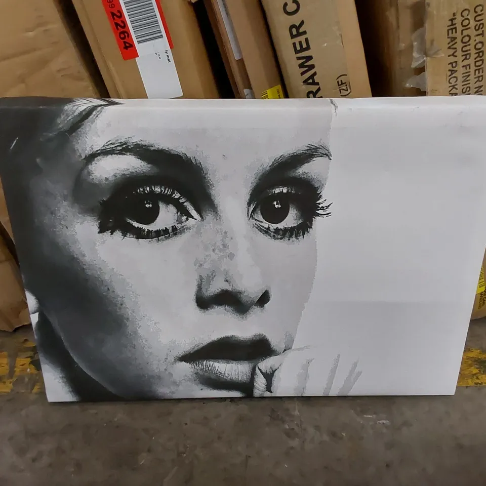 TWIGGY FIRST TOP MODEL - WRAPPED CANVAS ART PRINT 