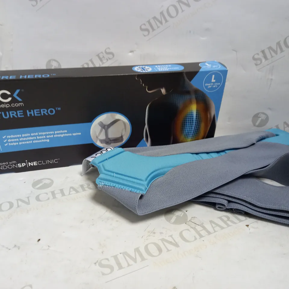 BACK POSTURE HERO SYSTEM SIZE LARGE