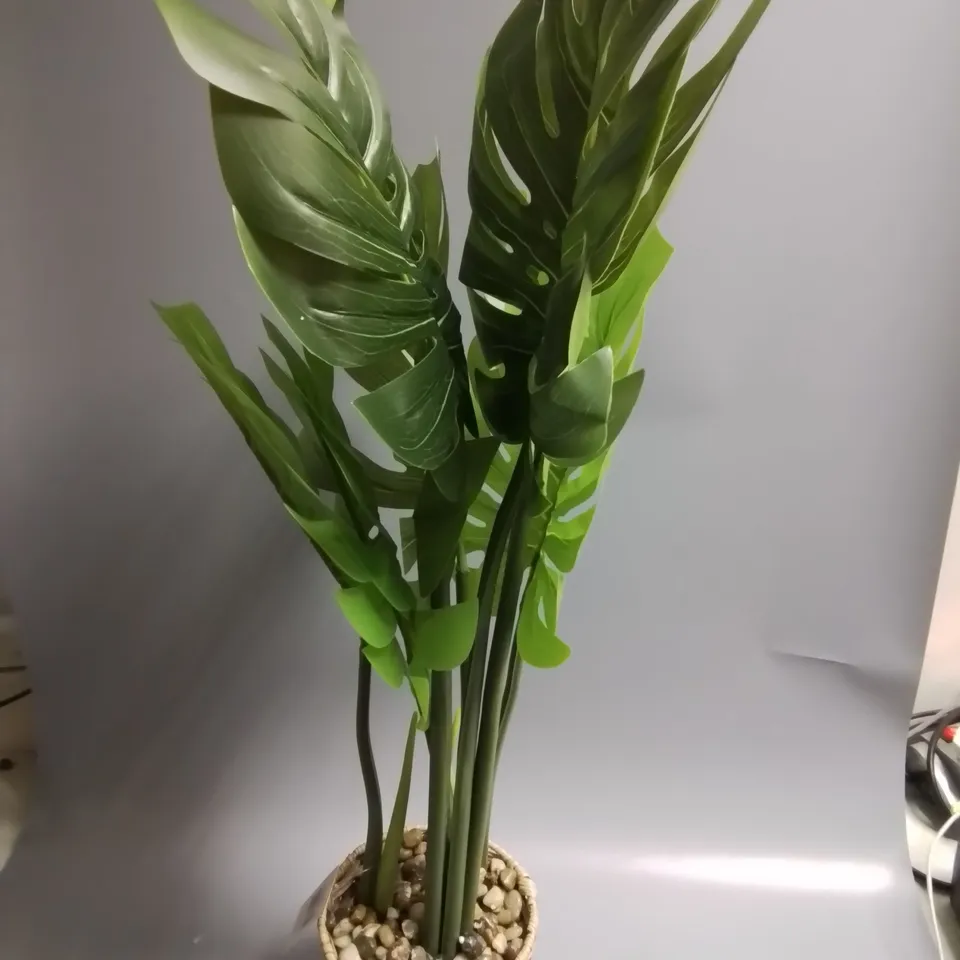 FAUX CHEESE PLANT IN WICKER PLANT POT