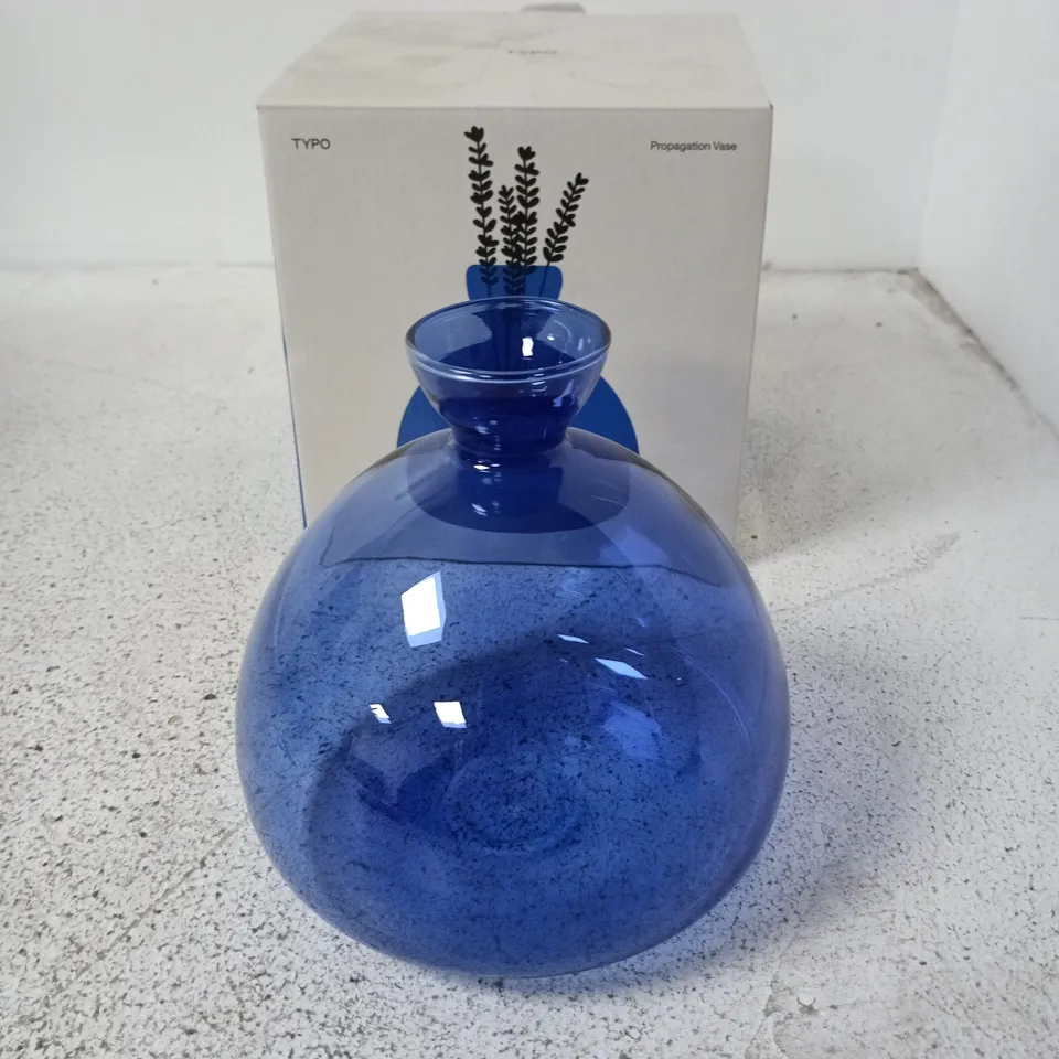 BOXED TYPO PROPAGATION VASE – BLUE GLASS