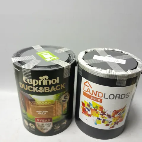 2 5L TUBS OF PAINT TO INCLUDE LANDLORDS MASONRY PAINT IN SKY BLUE, CUPRINOL DUCKSBACK AUTUMN GOLD 5 YEAR WEATHER PROTECT PAINT - COLLECTION ONLY