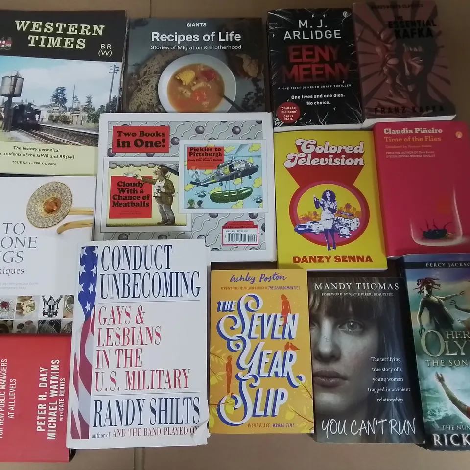 LARGE QUANTITY OF ASSORTED BOOKS TO INCLUDE DVSA DRIVING GUIDE, POLITICS IN IRELAND AND SHE AND HER CAT