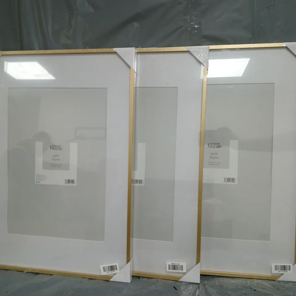 SET OF 3 PICTURE/PHOTO FRAMES W. GOLD FRAME (A2 WITHOUT MOUNT, A3 WITH MOUNT)