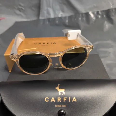 Carfia Men's Sunglasses – Acetate Frame, Model CA5289