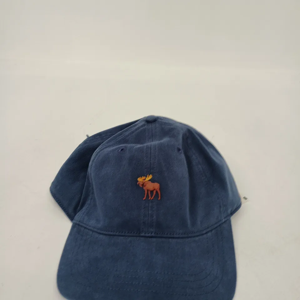 ABERCROMBIE & FITCH DENIM BASEBALL CAP