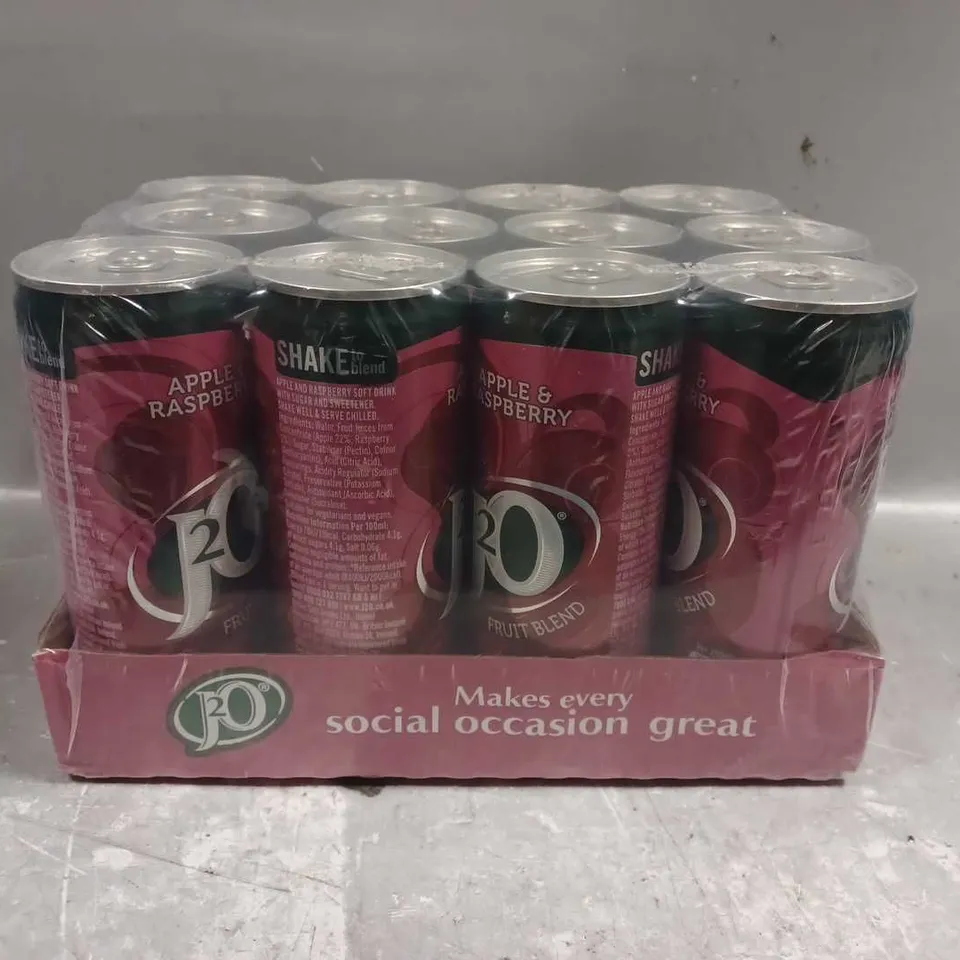 J20 APPLE RASPBERRY PACK OF 12 CANS / COLLECTION ONLY 