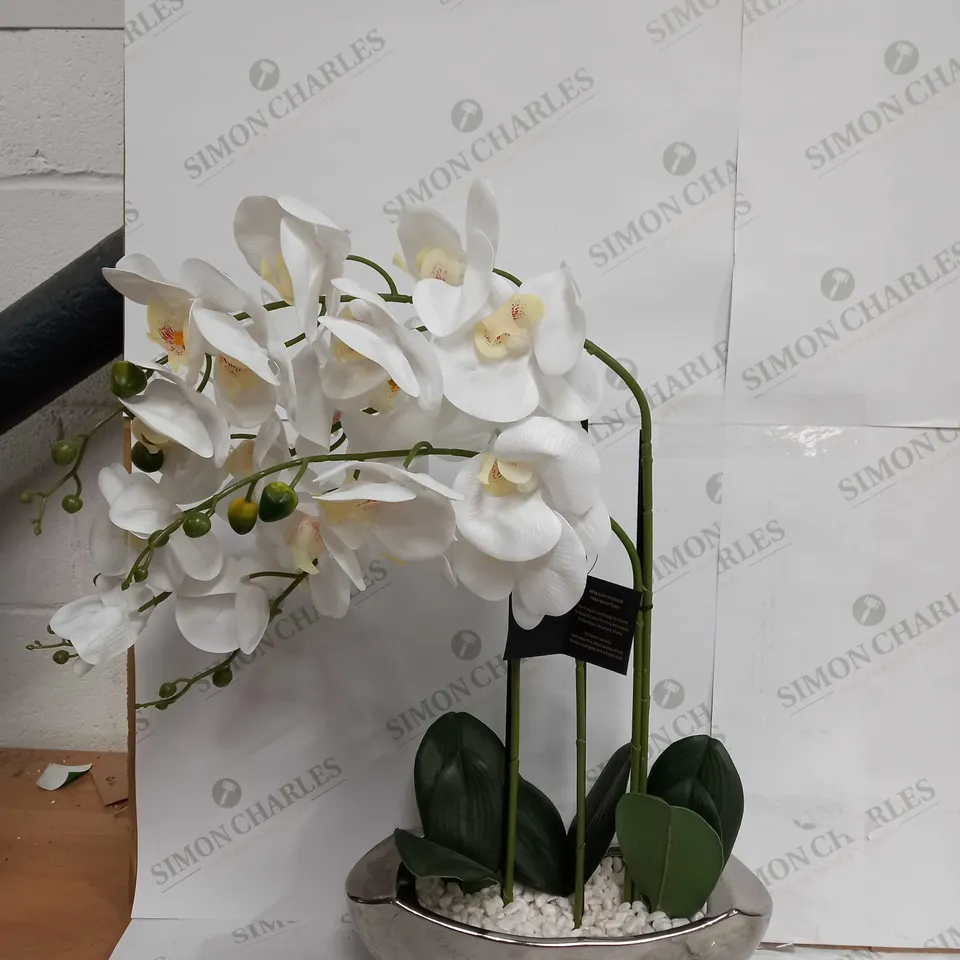 JM BY JULIEN MACDONALD 3 STEM REAL TOUCH FAUX ORCHID