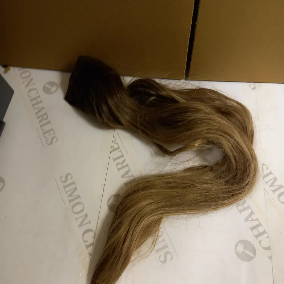EASILOCKS JORDYN WOODS 'THE PONYTAIL' HD HAIR PONYTAIL - 22"