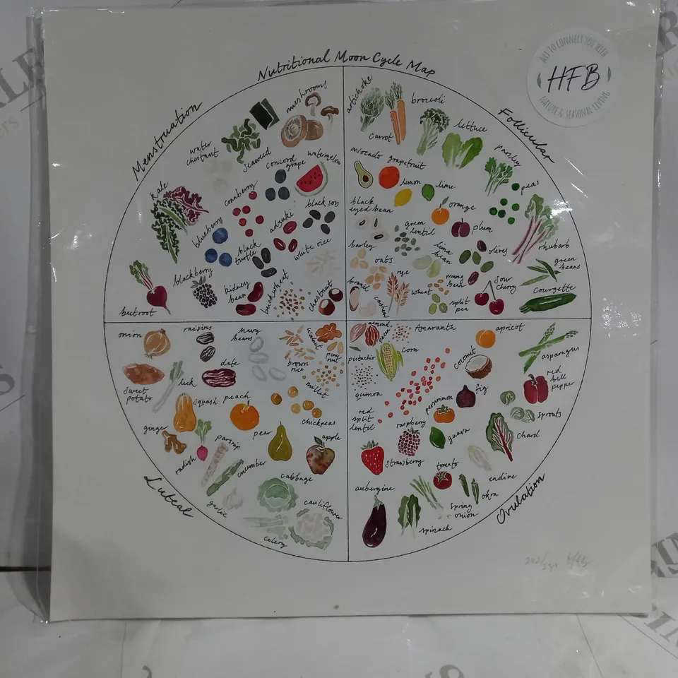 HOLLY FOSKETT-BARNES SIGNED NUTRITIONAL MOON CYCLE MAP ART