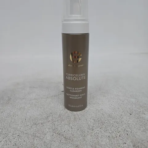 ELIZABETH GRANT TORRICELUMN ABSOLUTE GENTLE FOAMING CLEANSER 195ML