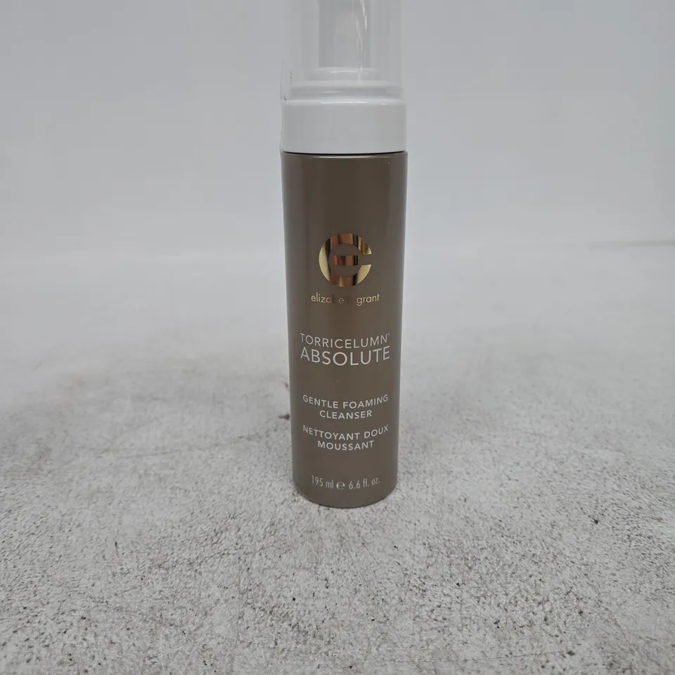 ELIZABETH GRANT TORRICELUMN ABSOLUTE GENTLE FOAMING CLEANSER 195ML